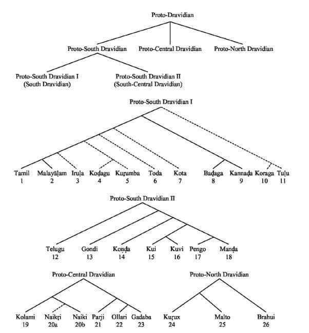 Tamil Dravidian language roots